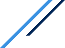 FSE Global
